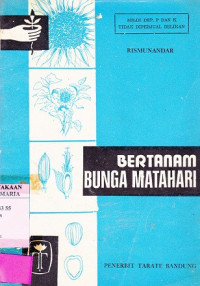 Image of Bertanam Bunga Matahari