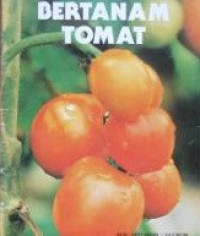 Image of Bertanam Tomat