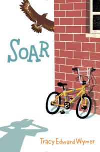 Image of Soar
